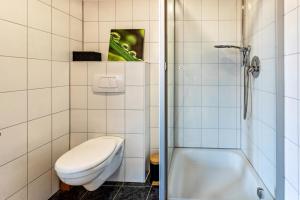 a white bathroom with a toilet and a shower at Höri-glück in Öhningen