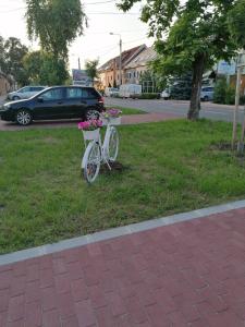 Jízda na kole v ubytování Kertész Vendégház nebo okolí