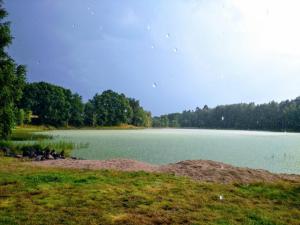 a large body of water with trees in the background at OSTOJA PAWIE OKO in Potęgowo