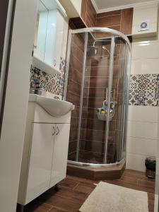 uma casa de banho com um chuveiro e um lavatório. em Apartman_Krstić_1 em Subotica