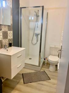 ein Badezimmer mit Dusche, Toilette und Waschbecken in der Unterkunft La maisonnée de Chambord in Crouy-sur-Cosson