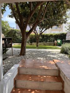 Un parque con un árbol y unas escaleras. en Piccolo app, en Split