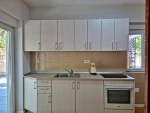 Kuchyň nebo kuchyňský kout v ubytování Apartments Iko Nemira + 33 fotografií