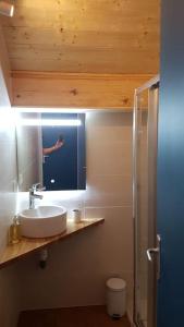 une personne prenant une photo dans un miroir de salle de bains dans l'établissement Appartement Les Dents Blanches - Samöens Centre, à Samoëns