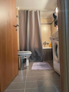 幾內塔的住宿－Magic View 4U Iulia，一间带卫生间和洗衣机的浴室