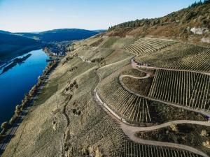 an aerial view of a vineyard next to a river at Hotel Zeltinger-Hof - Gasthaus des Rieslings in Zeltingen-Rachtig