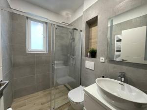 een badkamer met een wastafel, een toilet en een douche bij Zrekonstruovaný byt 1kk v centru Liberce in Liberec