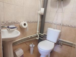 a small bathroom with a toilet and a sink at Vila Tatiana in Bîc