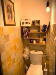 een badkamer met een toilet en planken aan de muur bij Joli T2 Jardin, entre mer/verdon in Salernes