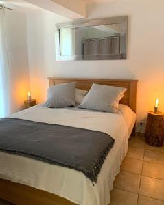 een slaapkamer met een bed met een spiegel aan de muur bij Joli T2 Jardin, entre mer/verdon in Salernes