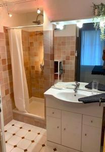 een badkamer met een wastafel en een douche bij Joli T2 Jardin, entre mer/verdon in Salernes