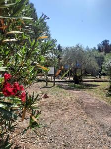 Fotografie z fotogalerie ubytování Relais du Salagou - Chalets climatisés proche Lac du Salagou v destinaci Le Bosc