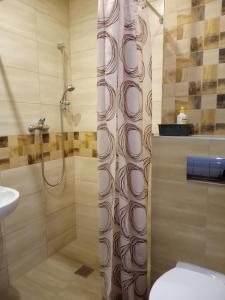 Ένα μπάνιο στο AQUILA Pokoje Gościnne +32 φωτογραφίες