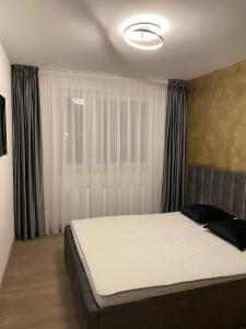 um quarto com uma cama e uma janela com cortinas em Charming 1-Bed Apartment in Brasov em Brasov