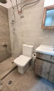 ein Bad mit einem WC, einem Waschbecken und einer Dusche in der Unterkunft Stylish studio - Your private place in Lamia in Lamía