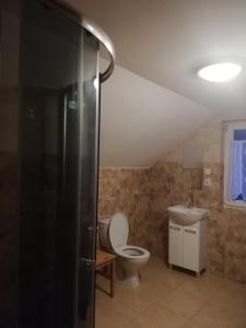 La salle de bains est pourvue de toilettes et d'un lavabo. dans l'établissement AgroDana Malinka, à Wisełka