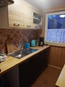 una cucina con lavandino e piano di lavoro di AgroDana Malinka a Wisełka