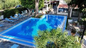an overhead view of a blue swimming pool with chairs at Oasis Apartments & Rooms in Plakias