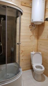 博爾若米的住宿－Tsemi My House，浴室配有卫生间、淋浴和盥洗盆。