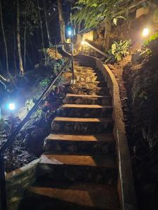una rampa di scale in una foresta di notte di Orkid Chalet a Cameron Highlands