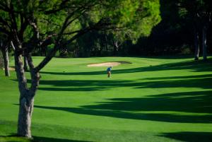 Golf v hotelu nebo okolí