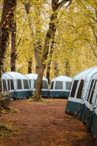 un groupe de tentes garées dans une forêt dans l'établissement Munich Central Camping, à Munich