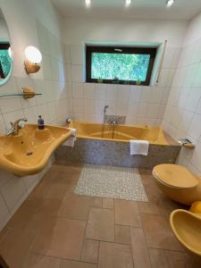 a bathroom with a tub and a toilet and a sink at Haus am Oberen Eschenbacher Teich in Clausthal-Zellerfeld