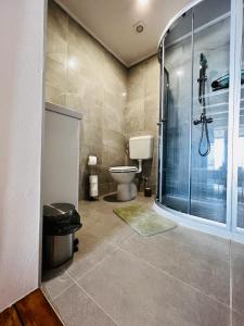 La salle de bains est pourvue de toilettes et d'une douche en verre. dans l'établissement San Marco Luxury Rooms Umag, à Umag