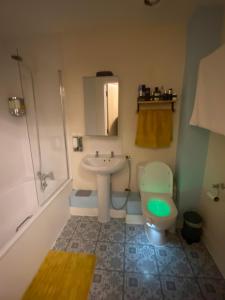 uma casa de banho com um lavatório e um WC em Lovely room in Chelsea em Londres