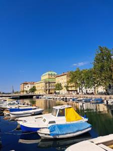 a bunch of boats are docked in a harbor at Tiny House for 2 Hreljin Crikvenica in Hreljin