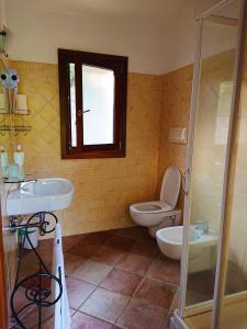 a bathroom with a toilet and a sink and a shower at Agriturismo Desole in Monti