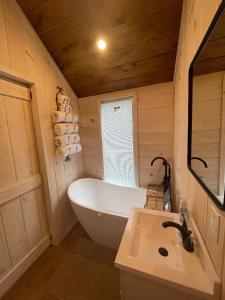 ein Badezimmer mit einer Badewanne, einem Waschbecken und einem Spiegel in der Unterkunft Whiskey Woods Retreat in Tullahoma