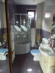 y baño con ducha, aseo y lavamanos. en Villa Blacky en Cluj-Napoca