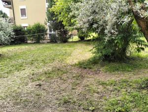 um quintal com uma árvore e uma casa em Casa degli Ulivi em Salò