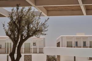 un árbol frente a un edificio blanco en Yi Hotel Mykonos en Elia Beach