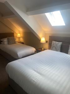 a bedroom with two beds and a skylight at Adams Townhouse in Dingle