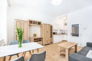 Kuchyň nebo kuchyňský kout v ubytování Apartment HOT SPRING + 23 fotografií