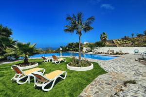a pool with lounge chairs and a palm tree at Finca Vino Tinto 1 in Icod de los Vinos