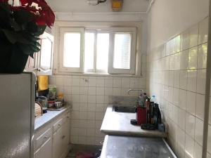 a small kitchen with a sink and two windows at Spacious downtown Nile apartment in Cairo