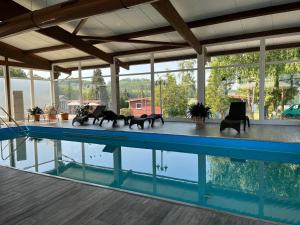 ein Haus mit einem Pool mit Tieren drauf in der Unterkunft Holiday Home Erzeberg-3 by Interhome in Balhorn