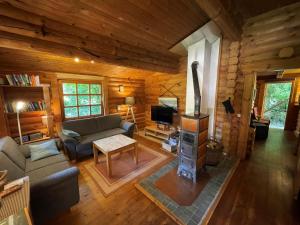 Zona d'estar a Chalet Birdieferienhaus by Interhome