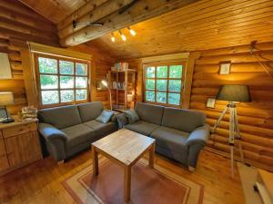 Zona d'estar a Chalet Birdieferienhaus by Interhome