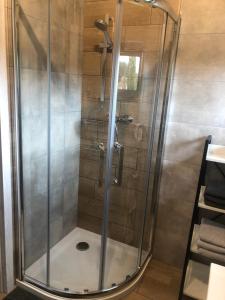 a shower with a glass door in a bathroom at Apartament Modrzewiowa przy S3 in Zielona Góra