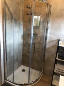 y baño con ducha y puerta de cristal. en Apartament Modrzewiowa przy S3, en Zielona Góra