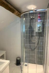 a shower with a glass door in a bathroom at Holiday Home Mill Court by Interhome in Swimbridge