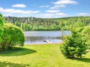 a view of a lake in a park with trees at Holiday Home Nuppulanranta 14 by Interhome in Jämsä
