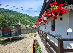 a house with red flowers on the side of it at Casuta de Vacanta Poiana in Poiana Teiului