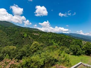 a view of a hill with trees and a blue sky at Holiday Home Penta by Interhome in Penta-di-Casinca