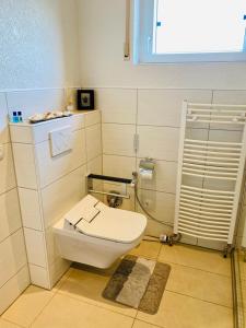 La salle de bains est pourvue de toilettes et d'une douche en verre. dans l'établissement Ferienwohnung Waldblick, à Kaufungen