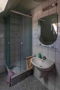 ボニャルツバシュにあるKovács Vendégházのバスルーム(シンク、鏡付きシャワー付)